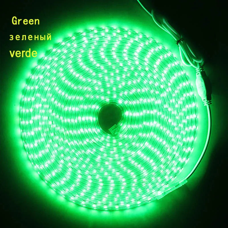 220V LED Strip Light Waterproof RGB Strip Led Ribbon 5050 Led Tape 220 Flexible Led Strip 220 v 60Leds/M Lighting with EU Plug