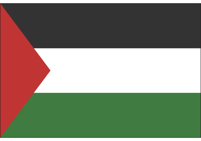 Palestine National Flag 90*150cm/60*90cm/15*21cm/ Car Flag 3x5ft Polyester Printing Banners