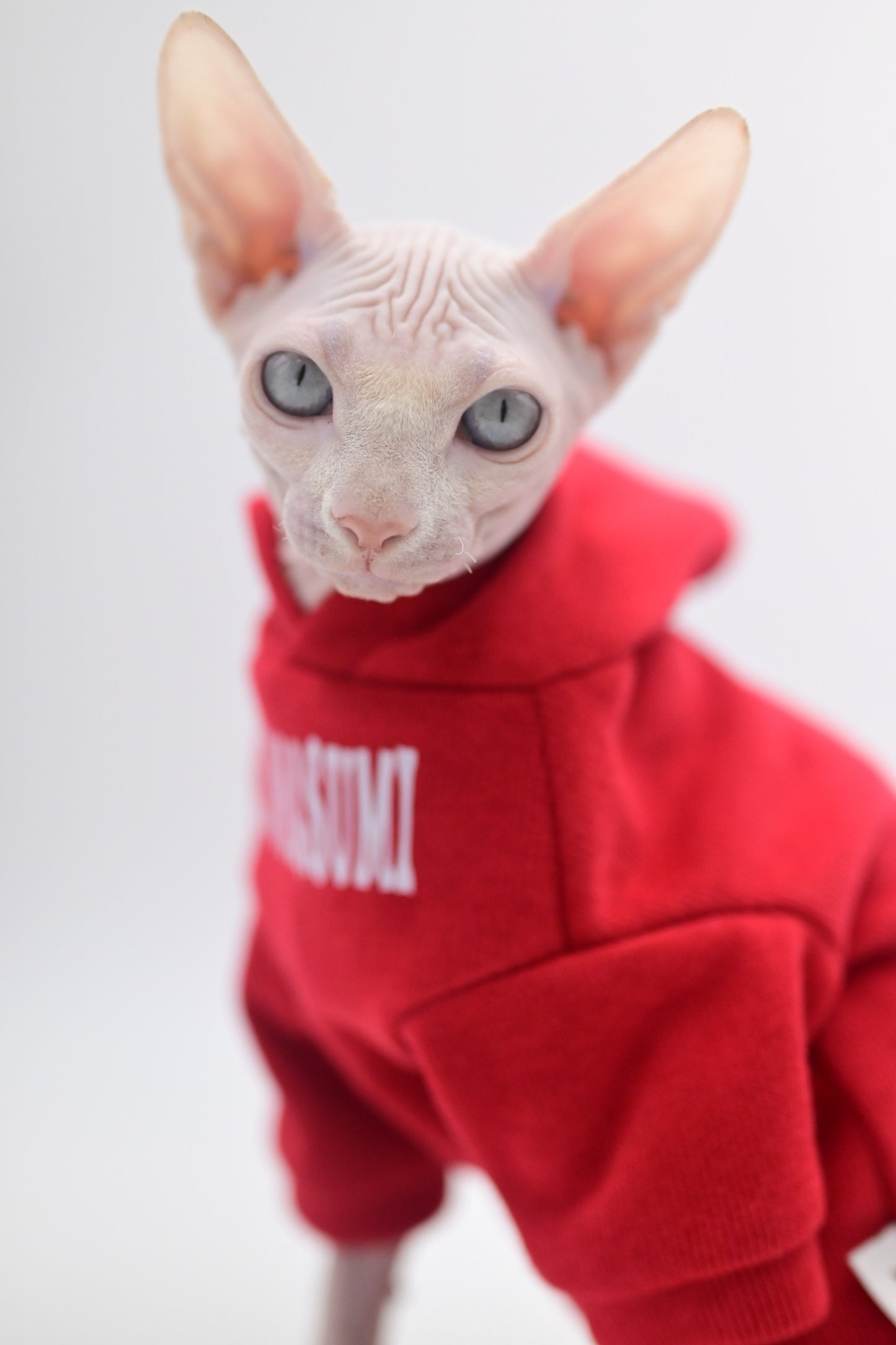 Stylish Hairless Cat Clothes Spring/Autumn Collection for Sphynx Cats,Devon Rex, Cornish and Small Cats