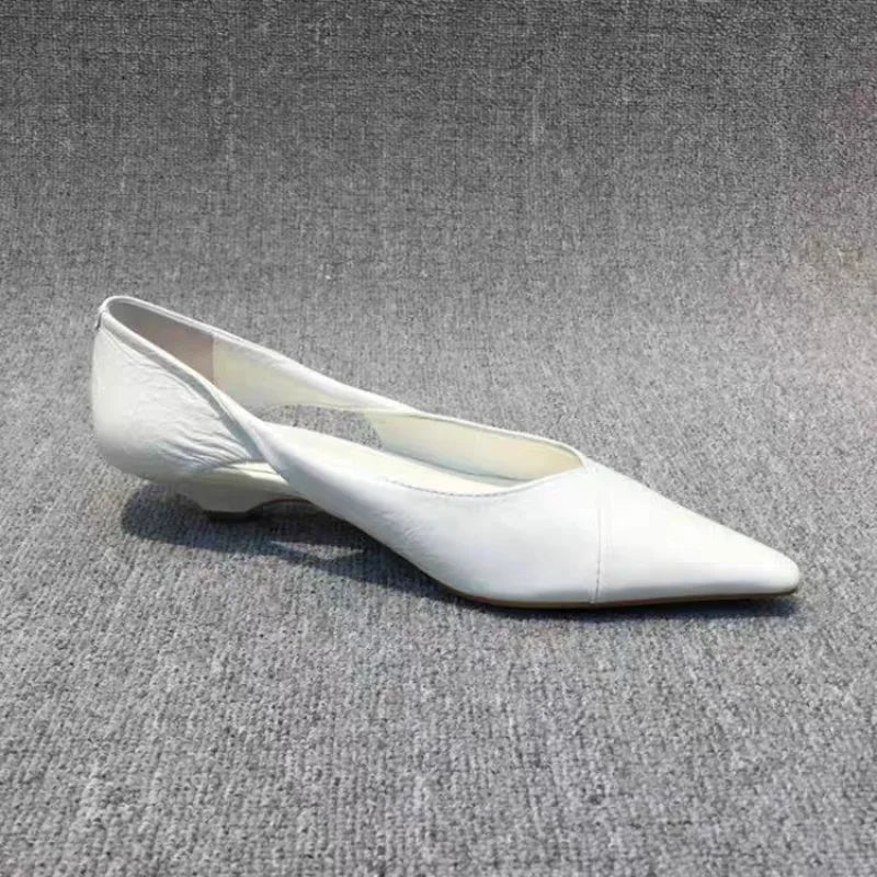 Shoes for Woman Comfortable Women's Summer Footwear Moccasins Blue Low Heel Elegant Pointed Toe High Quality Popular Heels