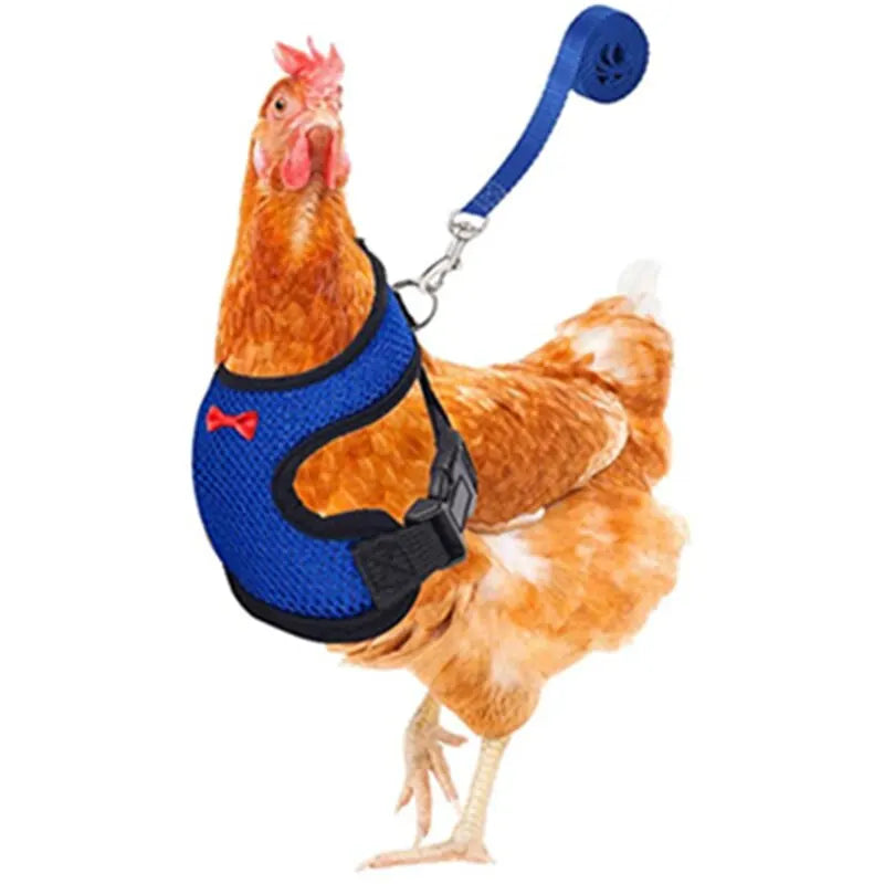 Pet Adjustable Harness Leash for Chicken Puppy Comfortable Breathable Pet Vest for Small Dogs Duck Goose Training Accessories