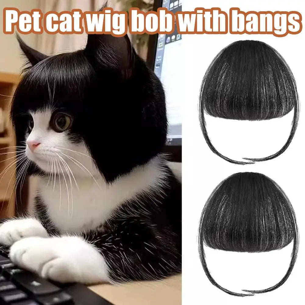  Pet Wig,Cat Cosplay Props Curly Straight Hair,Puppy Costumes Supplies,Dog Creative Cross-Dressing Photography,Funny Prank