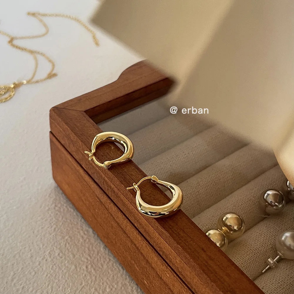 Sterling Silver Earrings Light Luxury Simple Elegant Grand Exquisite High End Fashionable Style of Earrings for Women