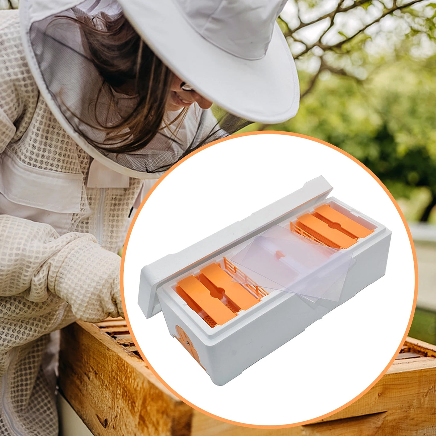 Foam Bee Rearing Cage Bee Mating Hives Beekeeping Tools Beekeeping Box for Beekeeper Supplies Outdoor Rearing Boxes Hives
