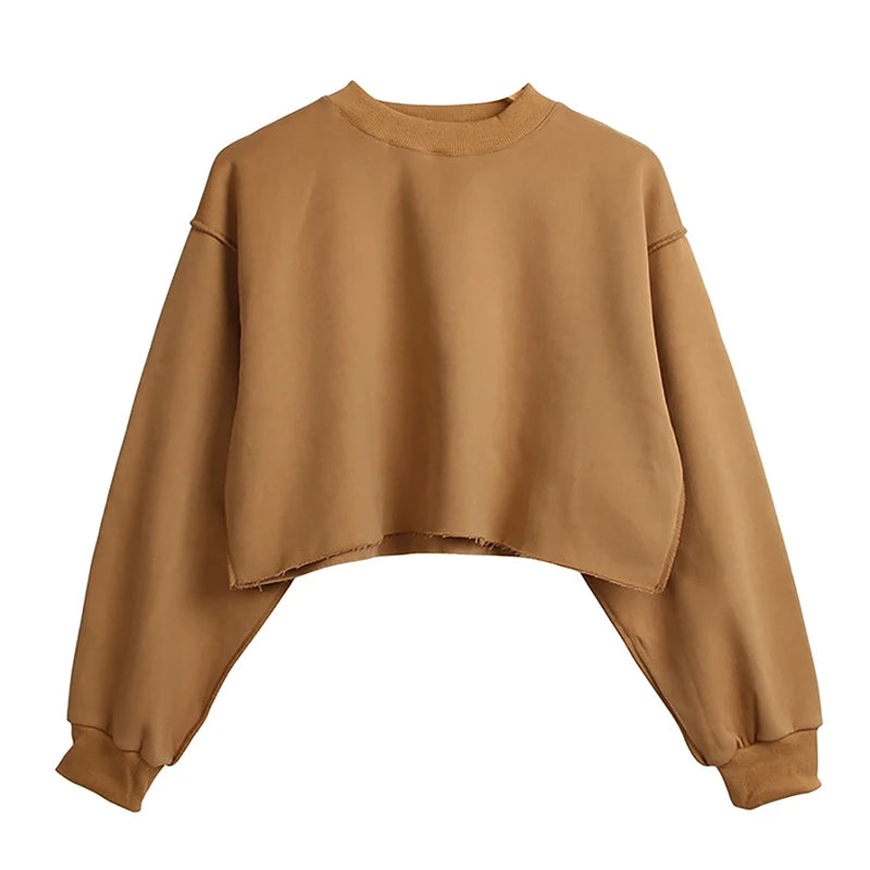 Thick Oversized Women Sweatshirt Hoodies Warm Fleece Casual Long Sleeve Harajuku Streetwear Crop Pullover Ropa Mujer