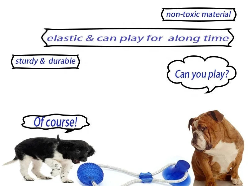 Pet Toys for Small Dogs, Rubber Dog Toy, Dog Push Toy with TPR Ball, Pet Tooth Cleaning Chewing Toy with Suction Cup