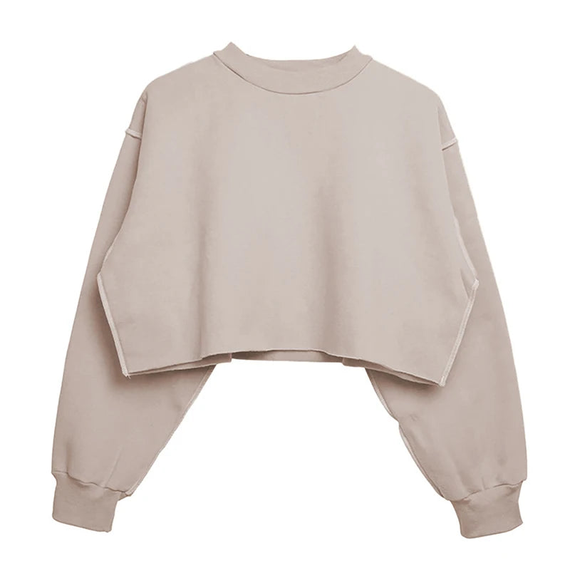 Thick Oversized Women Sweatshirt Hoodies Warm Fleece Casual Long Sleeve Harajuku Streetwear Crop Pullover Ropa Mujer