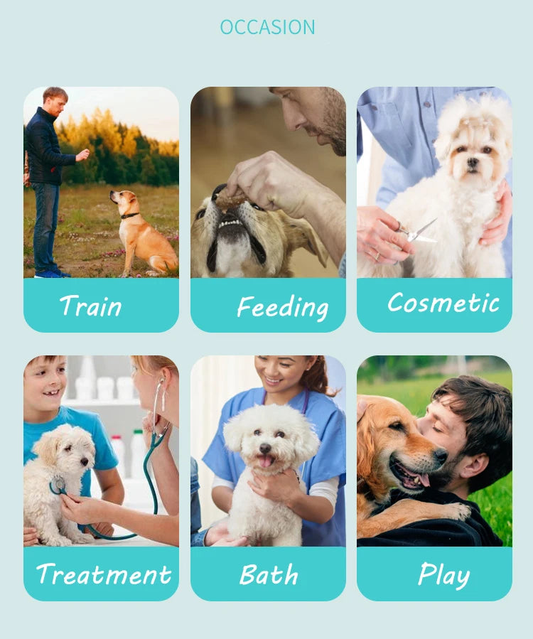 Leather Pet Gloves Anti-grasping Anti Bite Protective Cowhide Gloves Cat Dog Gardening Work Gloves Pets Training Handling Gloves