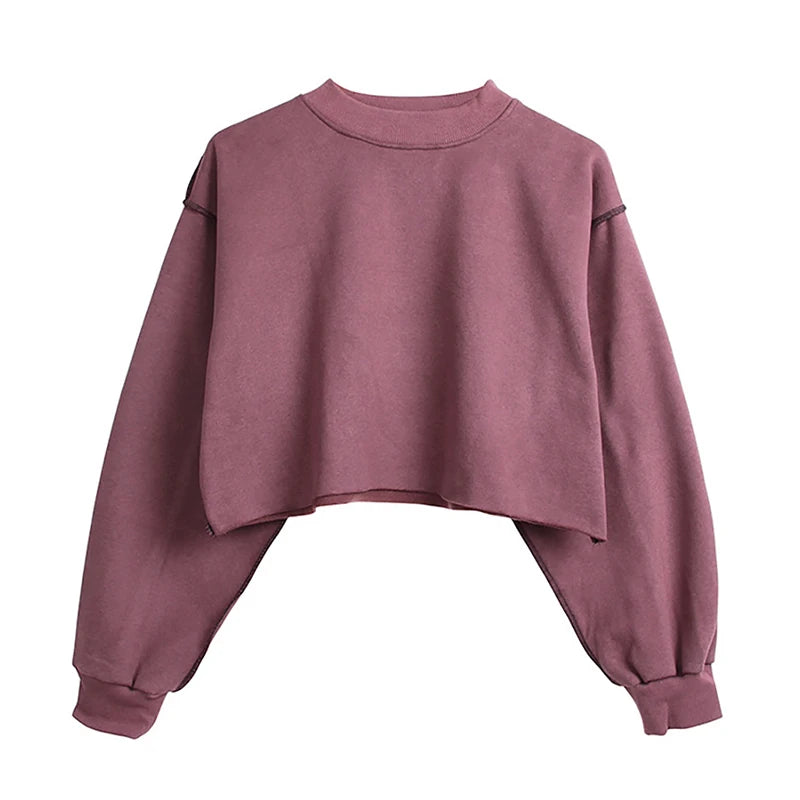 Thick Oversized Women Sweatshirt Hoodies Warm Fleece Casual Long Sleeve Harajuku Streetwear Crop Pullover Ropa Mujer
