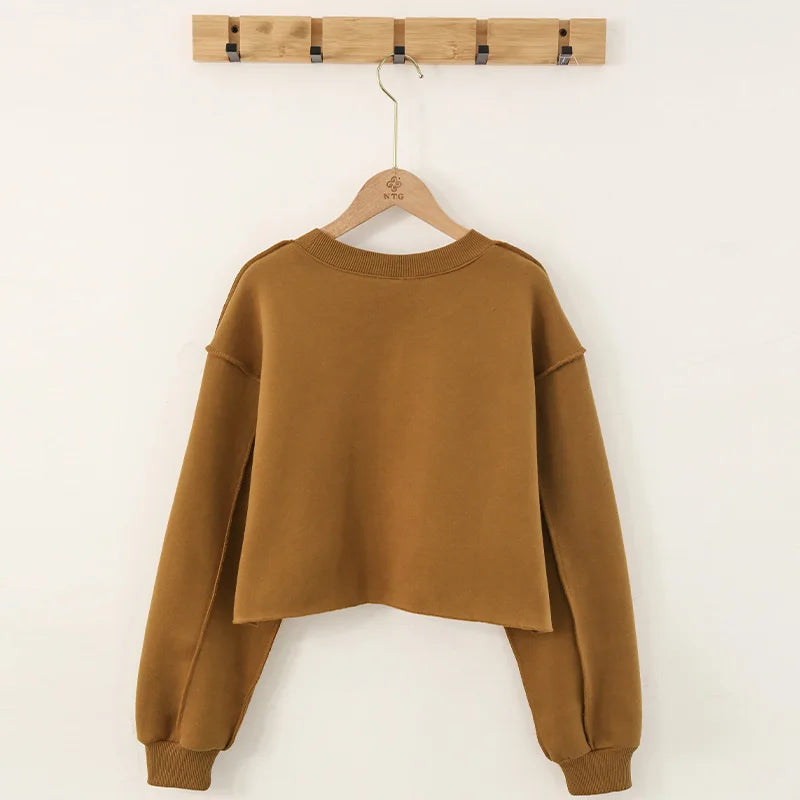 Thick Oversized Women Sweatshirt Hoodies Warm Fleece Casual Long Sleeve Harajuku Streetwear Crop Pullover Ropa Mujer