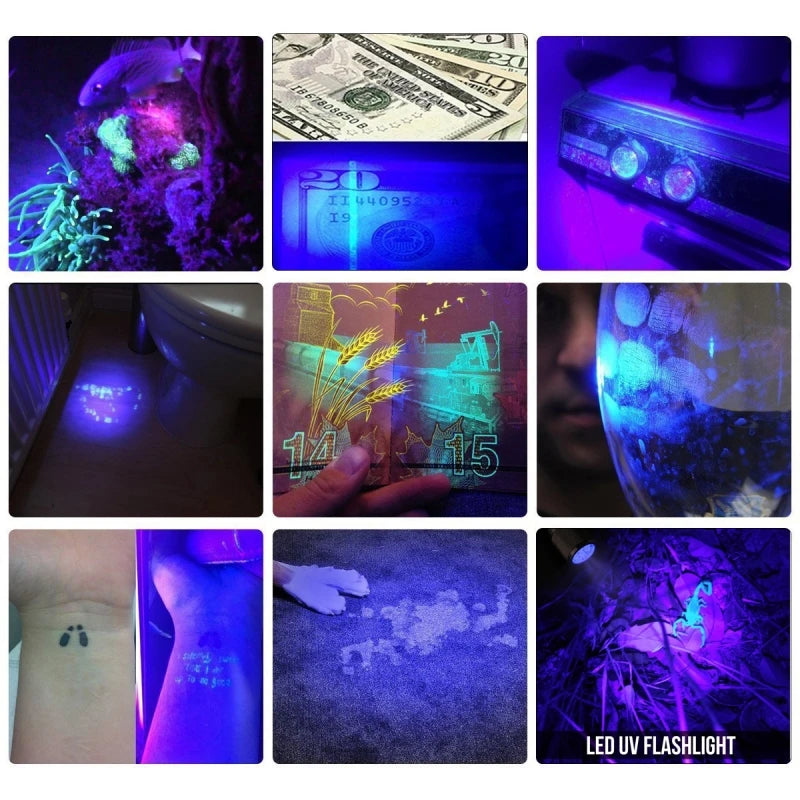 UV Flashlight 395nm Black Light Flashlights Zoomable UV Torch Ultra Violet Light Flashlights Blacklight Flashlight 18650