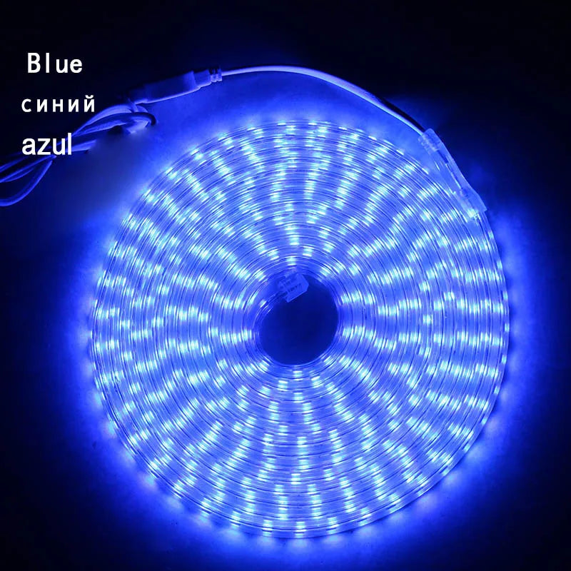 220V LED Strip Light Waterproof RGB Strip Led Ribbon 5050 Led Tape 220 Flexible Led Strip 220 v 60Leds/M Lighting with EU Plug