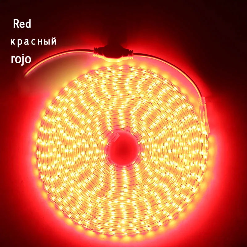 220V LED Strip Light Waterproof RGB Strip Led Ribbon 5050 Led Tape 220 Flexible Led Strip 220 v 60Leds/M Lighting with EU Plug