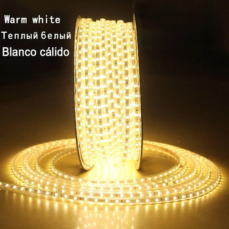 220V LED Strip Light Waterproof RGB Strip Led Ribbon 5050 Led Tape 220 Flexible Led Strip 220 v 60Leds/M Lighting with EU Plug