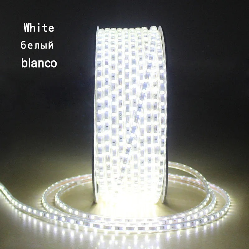 220V LED Strip Light Waterproof RGB Strip Led Ribbon 5050 Led Tape 220 Flexible Led Strip 220 v 60Leds/M Lighting with EU Plug