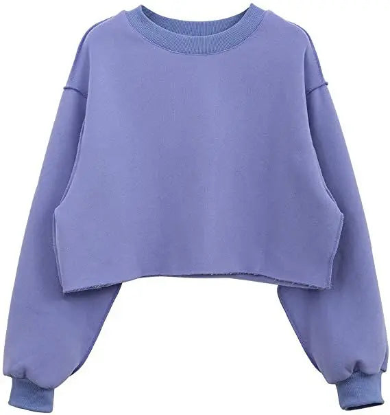 Thick Oversized Women Sweatshirt Hoodies Warm Fleece Casual Long Sleeve Harajuku Streetwear Crop Pullover Ropa Mujer