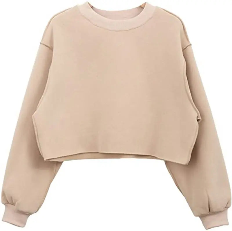Thick Oversized Women Sweatshirt Hoodies Warm Fleece Casual Long Sleeve Harajuku Streetwear Crop Pullover Ropa Mujer