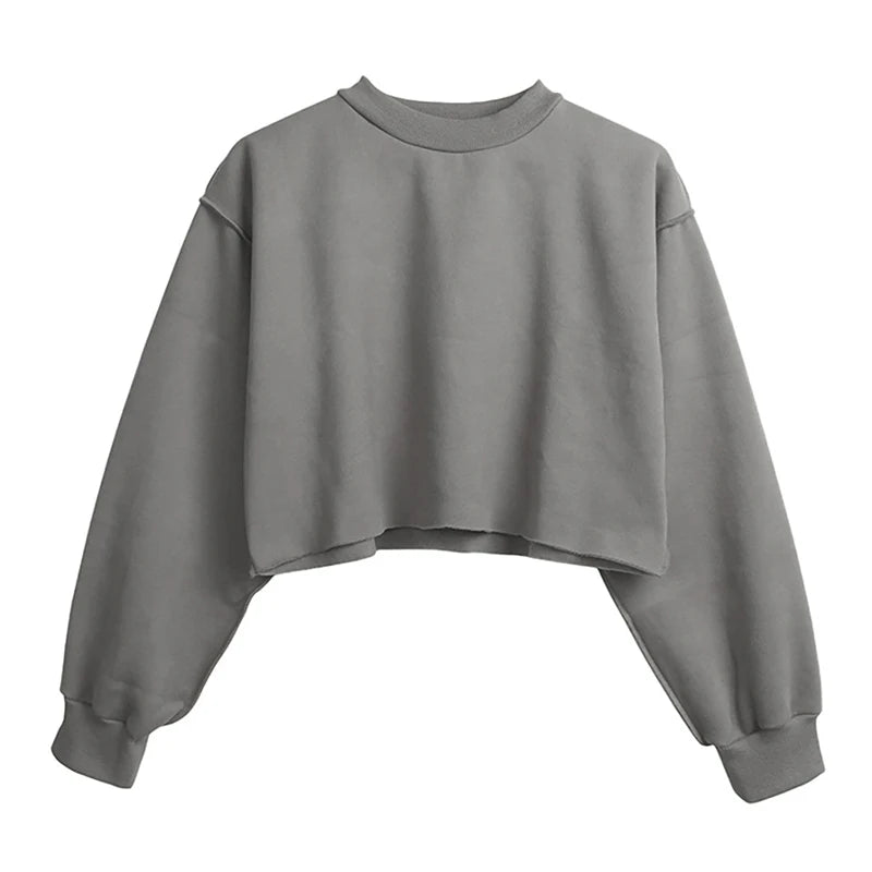 Thick Oversized Women Sweatshirt Hoodies Warm Fleece Casual Long Sleeve Harajuku Streetwear Crop Pullover Ropa Mujer