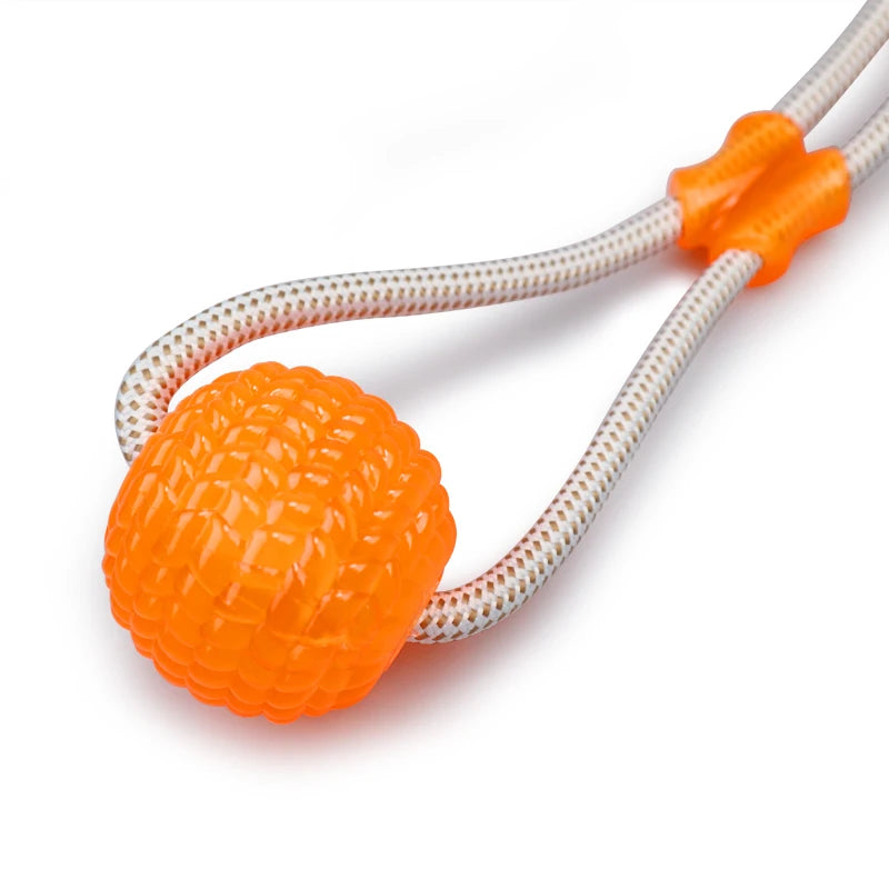 Pet Toys for Small Dogs, Rubber Dog Toy, Dog Push Toy with TPR Ball, Pet Tooth Cleaning Chewing Toy with Suction Cup
