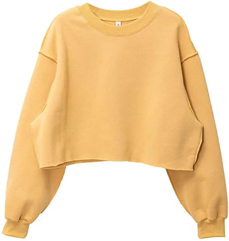 Thick Oversized Women Sweatshirt Hoodies Warm Fleece Casual Long Sleeve Harajuku Streetwear Crop Pullover Ropa Mujer