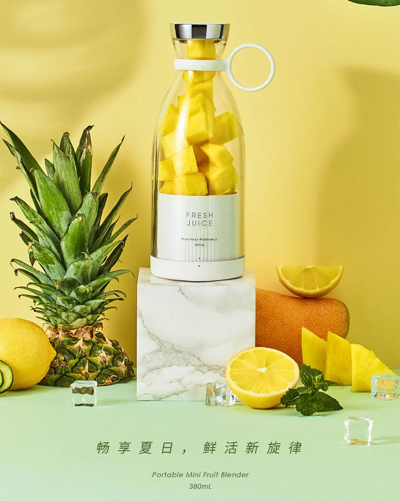 Blender Smoothie Juicer, Portable Blender Mini Jug Blenders, Multifunctional Personal Blender with USB Rechargeable