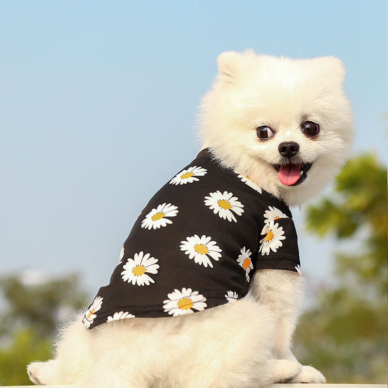 Pet Puppy T Shirt Vest Pet Clothes Spring and Summer New Style Travel Printed Short Sleeve Tshirt Clothes Small Medium Dogs