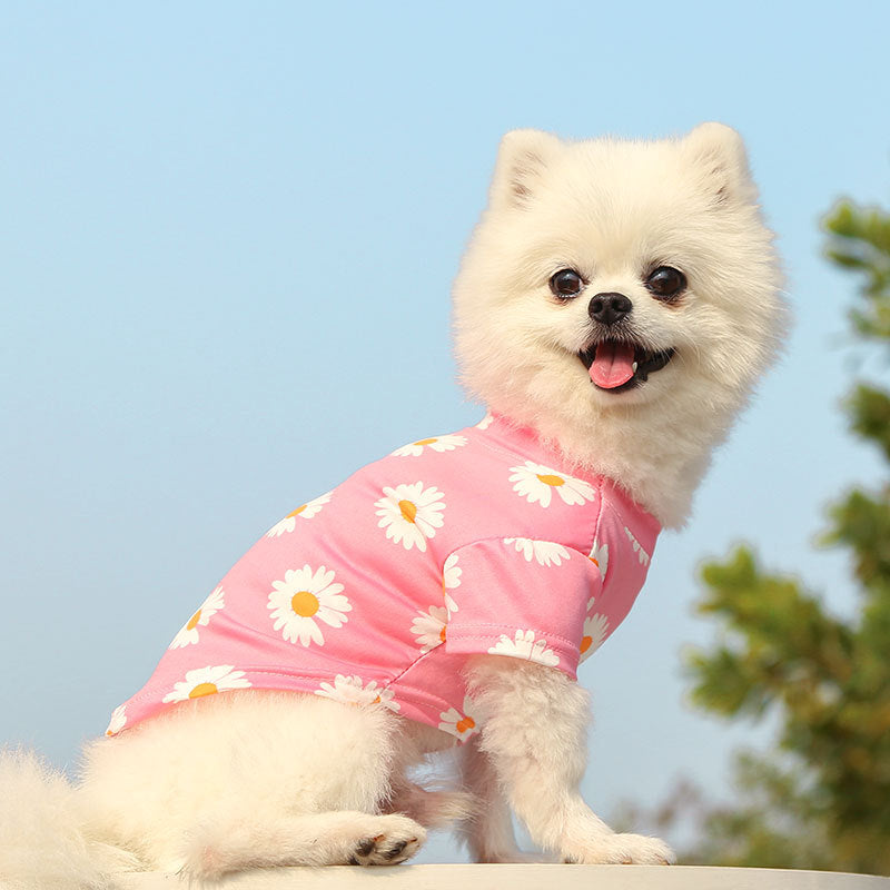 Pet Puppy T Shirt Vest Pet Clothes Spring and Summer New Style Travel Printed Short Sleeve Tshirt Clothes Small Medium Dogs