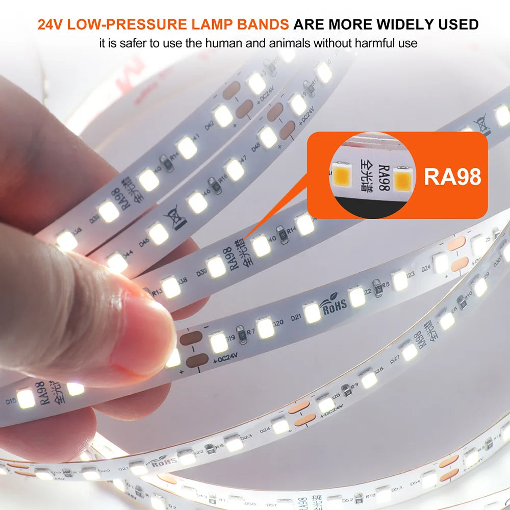 LED Strip Light RA98 5mm 8mm PCB 5m 10m 24V 2835 120 240 LEDs Flexible Adhesive Tape 2700K 3000K 3500K 4000K 5000K 6000K Decor
