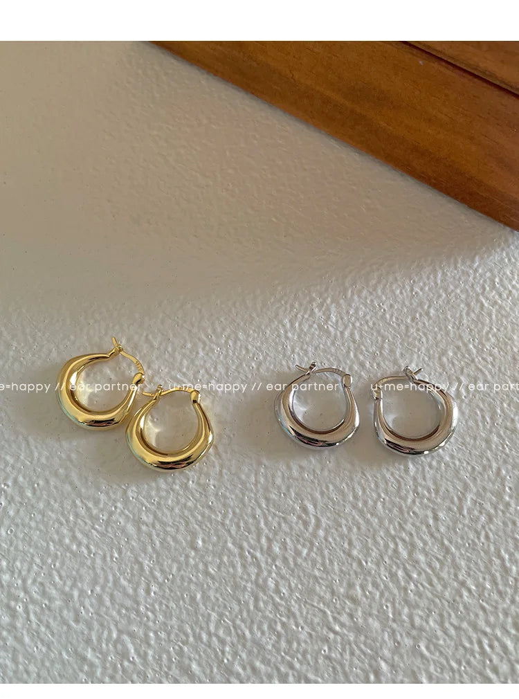Sterling Silver Earrings Light Luxury Simple Elegant Grand Exquisite High End Fashionable Style of Earrings for Women