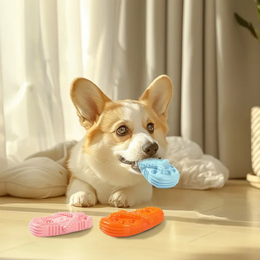 Pet Dog TPR Toy Bite-resistant Slippers Gnawing Teeth Cleaning Schnauzer Teddy Puppy Pet Products Dental Cleaning Slipper Toy