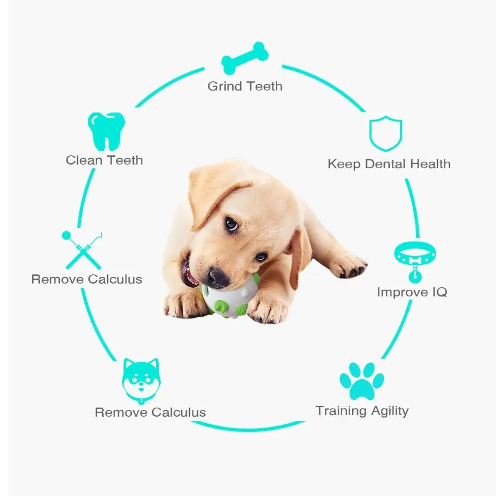 Pet Supplies Bite Resistant Pet Toy Ball TPR Wear Resistant Dog Chew Toy Non-slip Pet Teeth Cleaning Ball for Dogs Puppy Cats