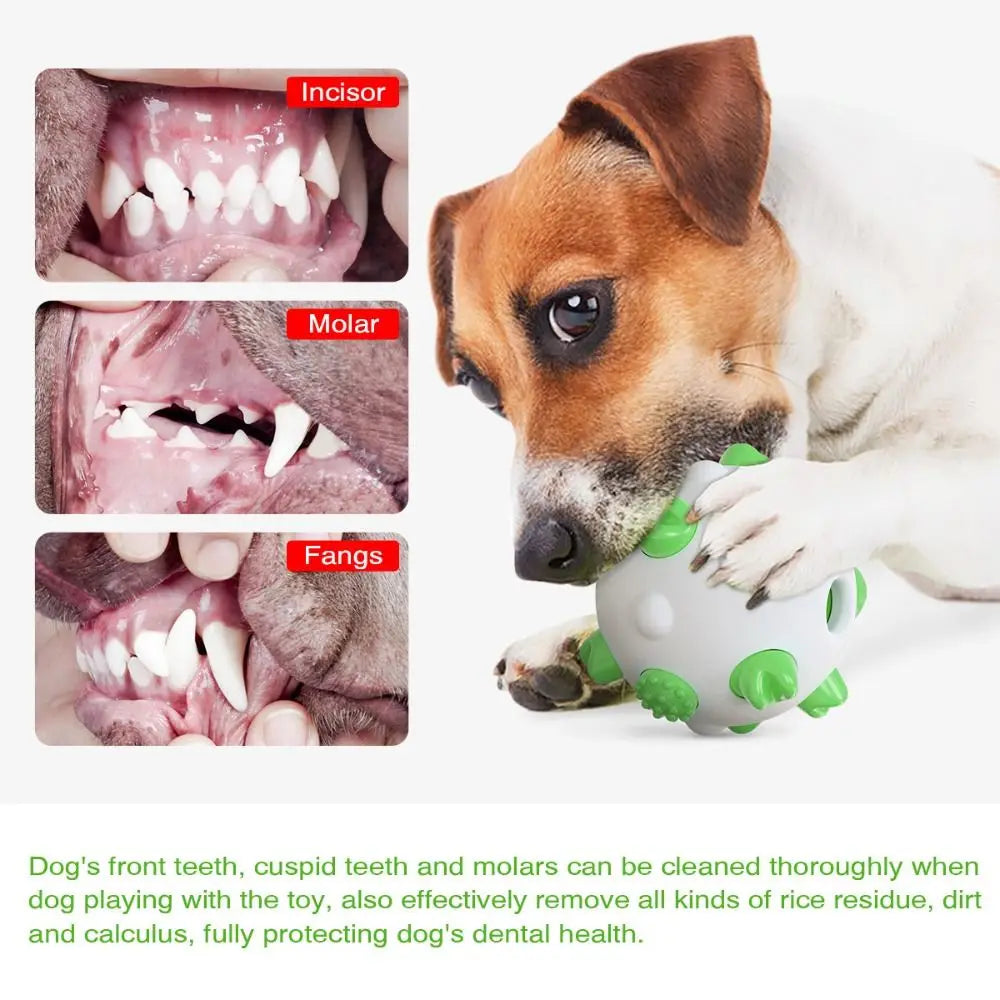 Pet Supplies Bite Resistant Pet Toy Ball TPR Wear Resistant Dog Chew Toy Non-slip Pet Teeth Cleaning Ball for Dogs Puppy Cats