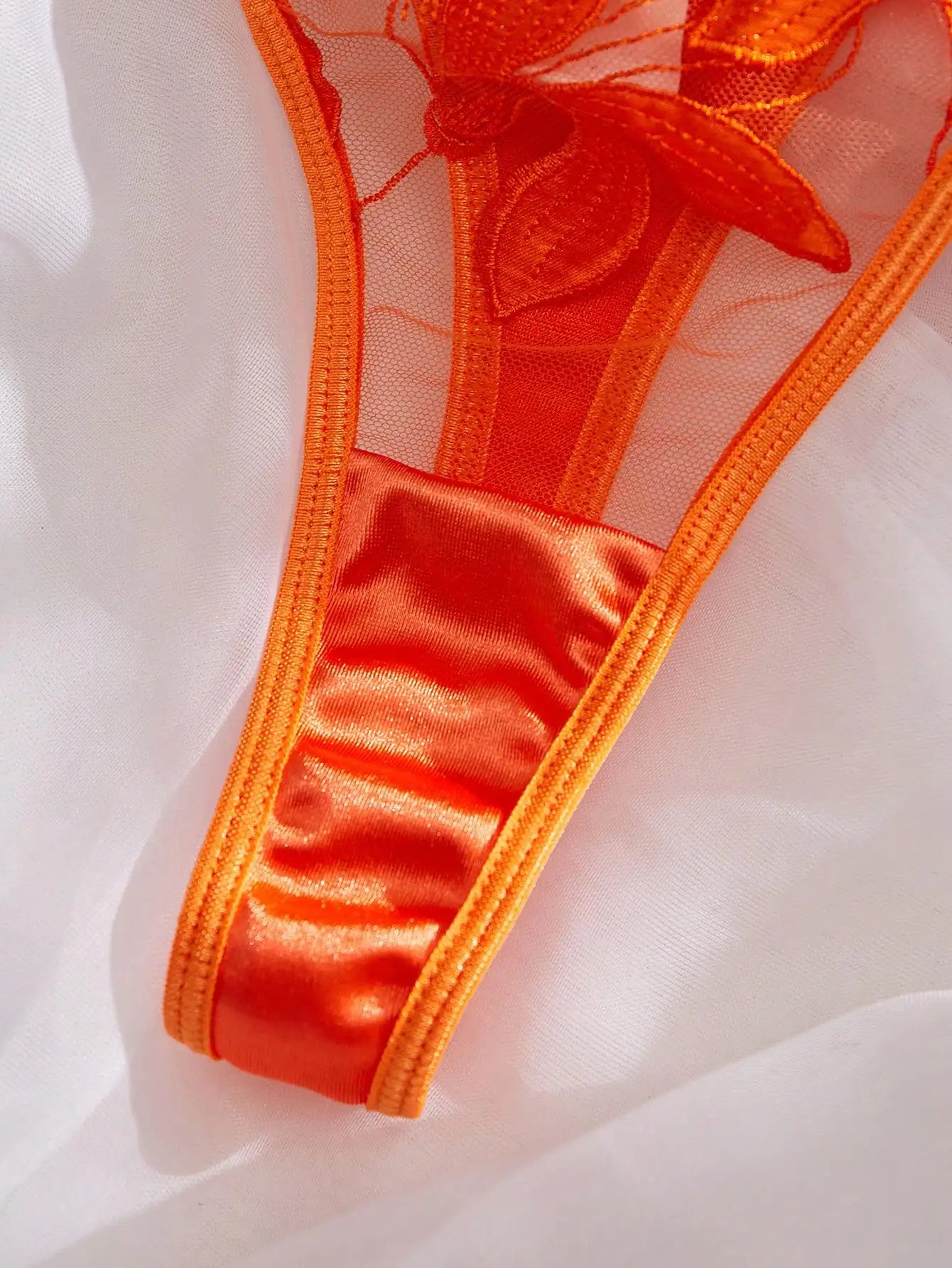 Lingerie Set Sheer Lace Underwire Push Up Bra & Thong Sexy Transparent Embroidery Underwear Kits for Women