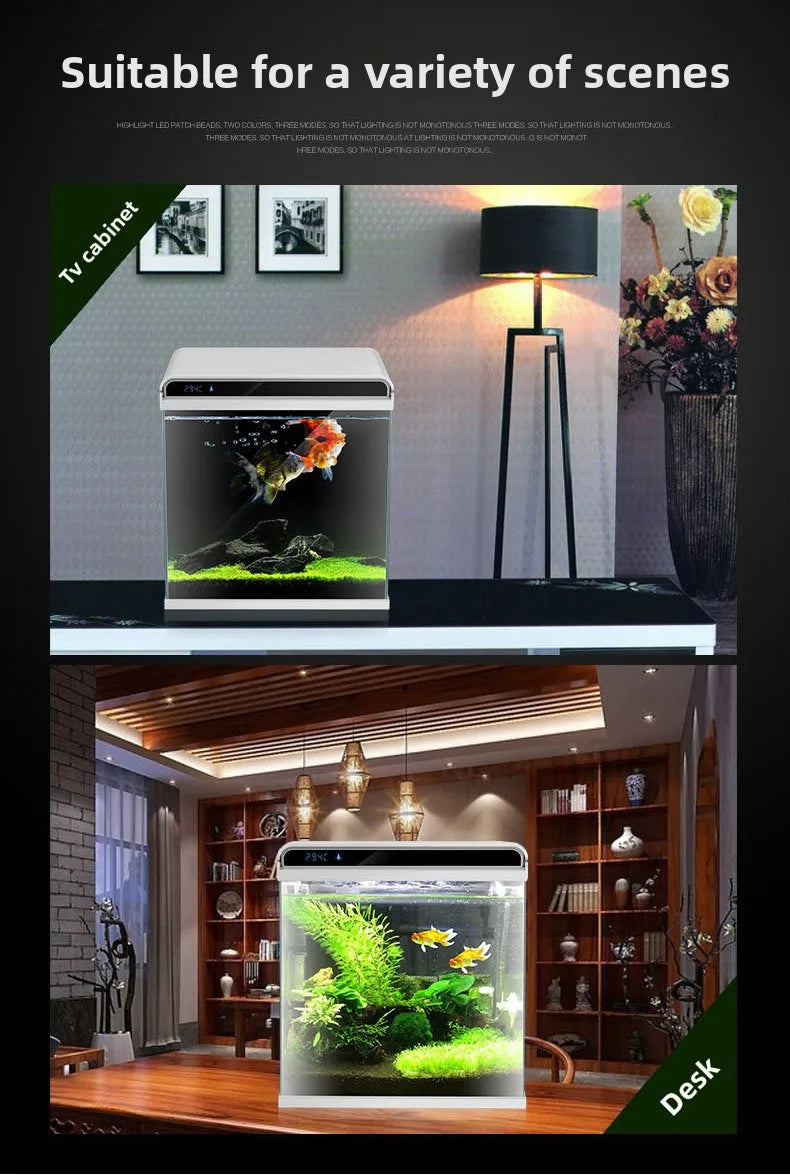 Creative Small Desktop Aquarium, Ecosystem Fish Tank for Office Home Desk Decoration, Mini Glass Tank