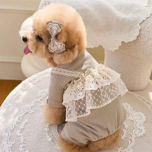 Pet Spring Jumpsuit Cute Lace Camisole Puppy Teddy Cat Waffle Lace Four Legged Coat Small Dog Puppy Clothes Dog Pajamas