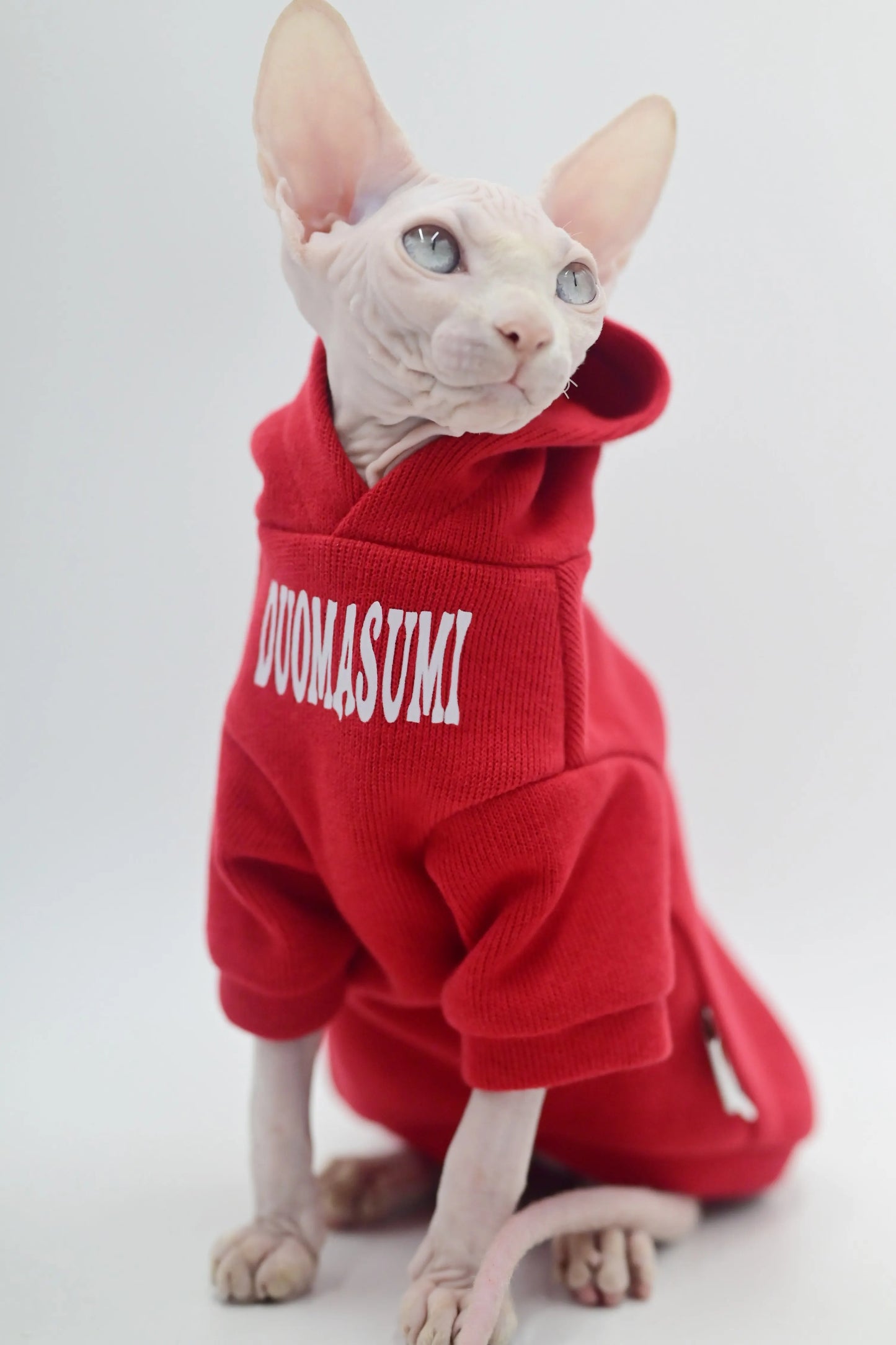 Stylish Hairless Cat Clothes Spring/Autumn Collection for Sphynx Cats，Devon Rex, Cornish and Small Cats