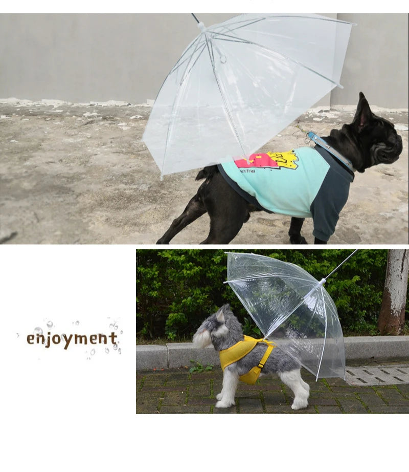 Pet Umbrella Teddy Small Dog Umbrella with Traction Dog Chain Walking Umbrella Rainy Travel Convenient Dog Raincoat Umbrella