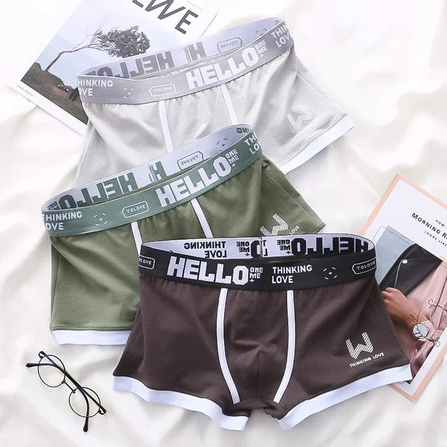 1Pcs Men Cotton Boxer Shorts Panties Underwear3 Colors L XL 2XL 3XL Soft Letter Belt Breathable Soft Fashion Sports