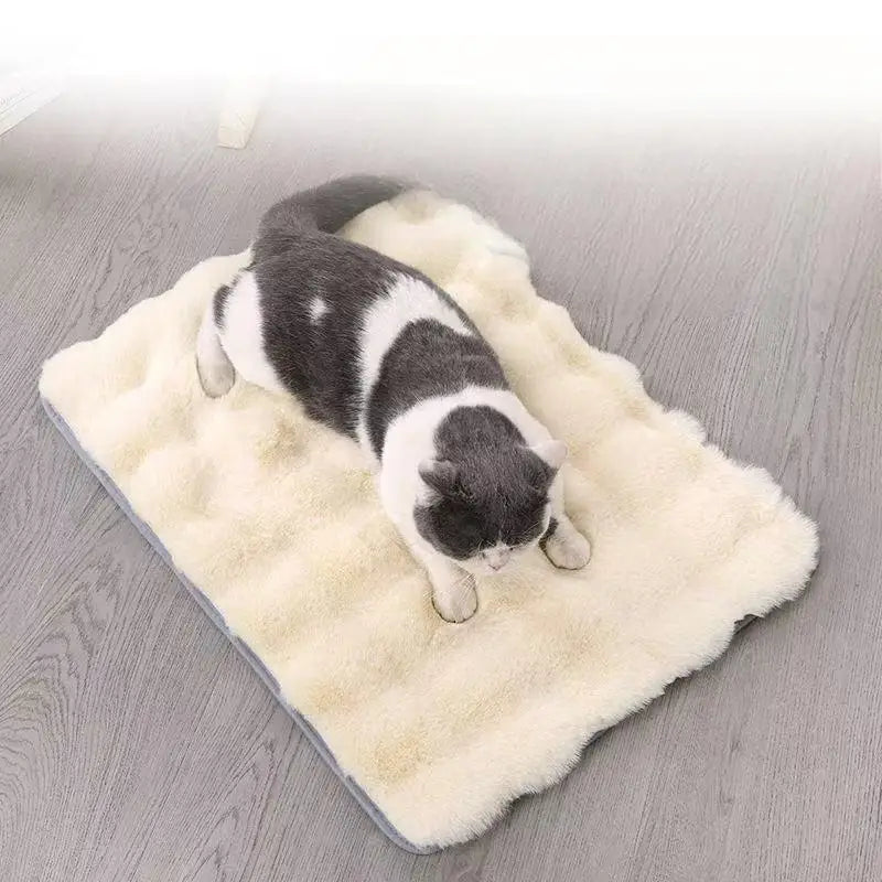Ultra-Soft Pet mat Winter Warm Dog Blanket Cat bed Sofa Mat Super Comfortable Pet Blanket Pad Mat for Cats Dogs Sleeping Mat