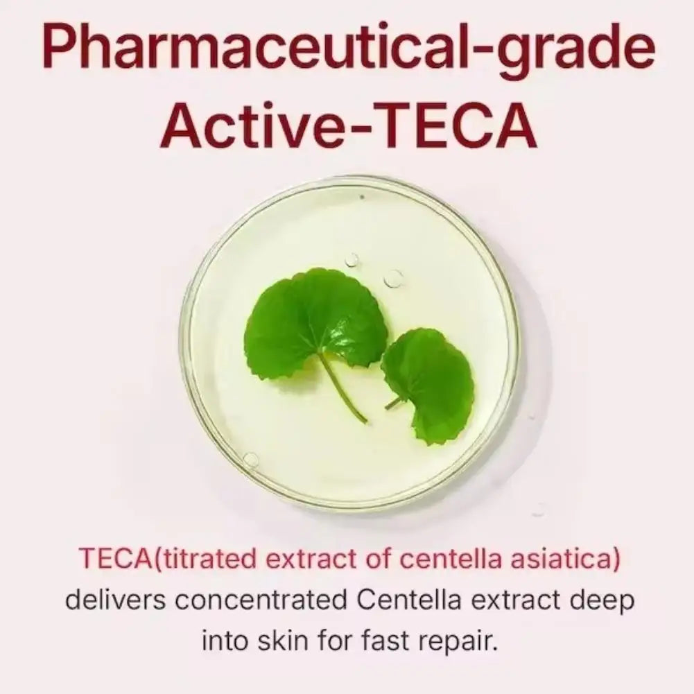 50ml Improving Dry Rough Skin Centella Asiatica Face Cream Deep Moisturizing Formula Quickly Absorbed Korean Moisturizing Cream