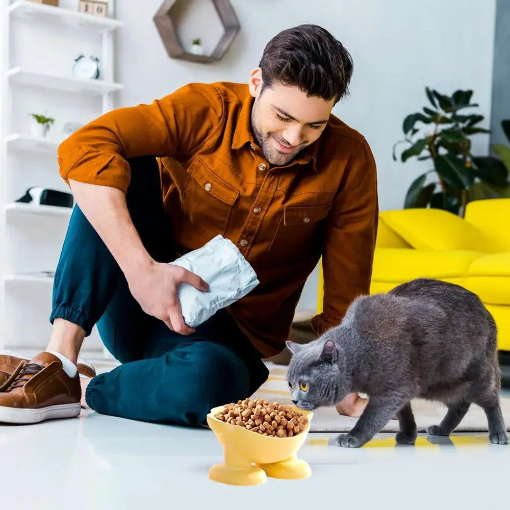 Tilted Elevated Bowl Pet Bowls Safe 15 Slanted Pet Feeder Neck Protection Non-Slip & Non-Spill Basic Dog Bowls For Easy Feeding