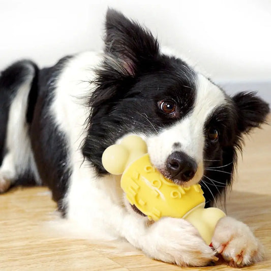 Pet Supplies Bite-resistant Dog Chew Toy Wear-resistant Interactive Pet Sound Making Toy TPR Pet Training Toy Grinding Teeth