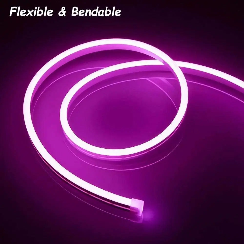 LED Neon Lights,  12V 5M Flexible，Neon Rope Light,  Waterproof Flex DIY Cuttable LED Light Strip for Indoor Outdoor Decoration