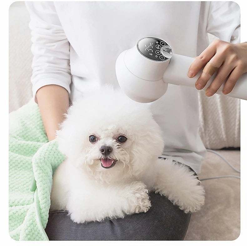Pet intelligent hair dryer hair dryer for dog/cat beauty LED display screen IOU temperature and wind speed control pet supplies