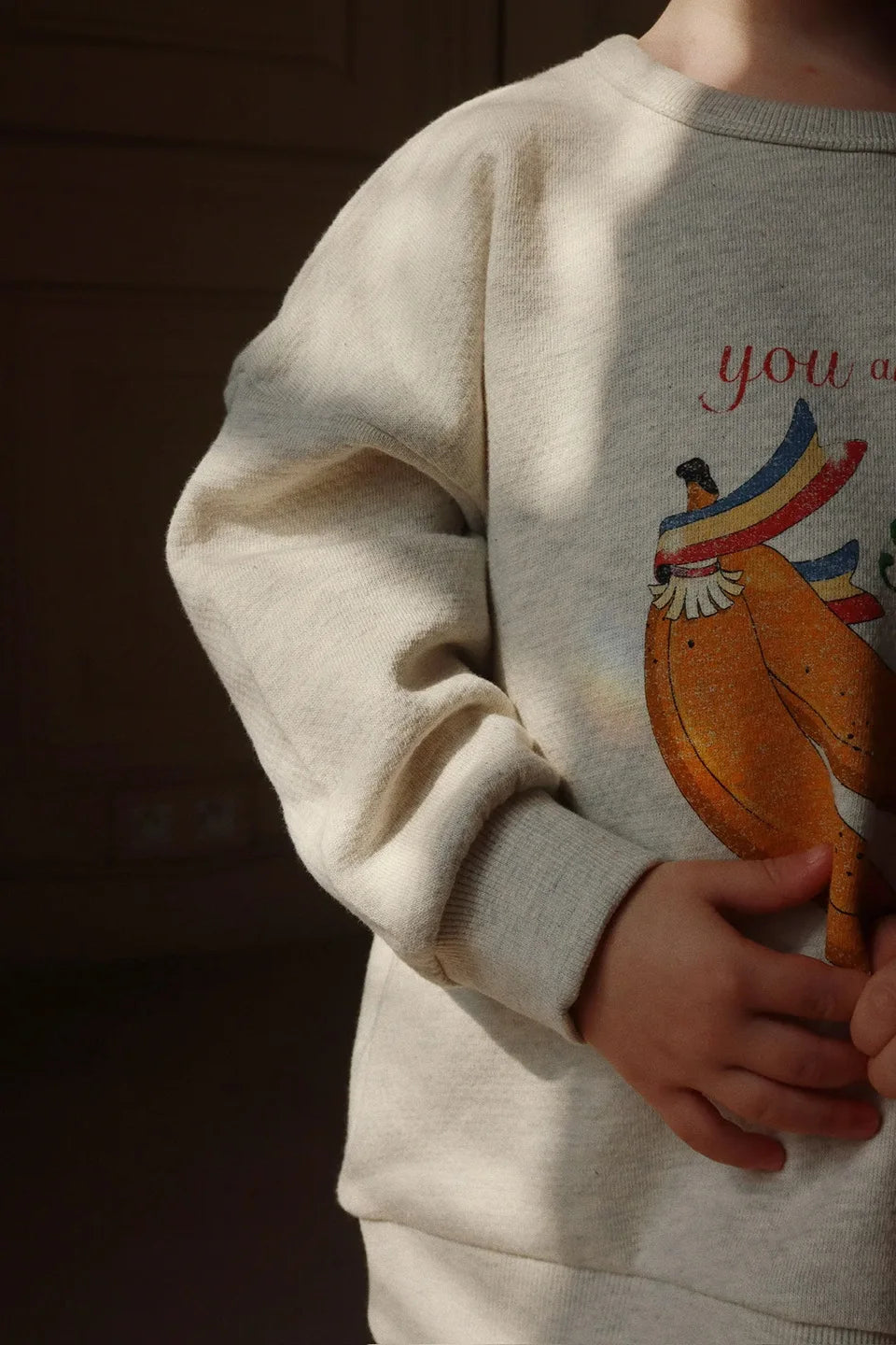 1-9Y KS Spring Baby Boys Cotton Sweatshirts Pants Suits Kids Clothes Girls Casual Banana Floral Printed Hoodies Coats Pants Sets