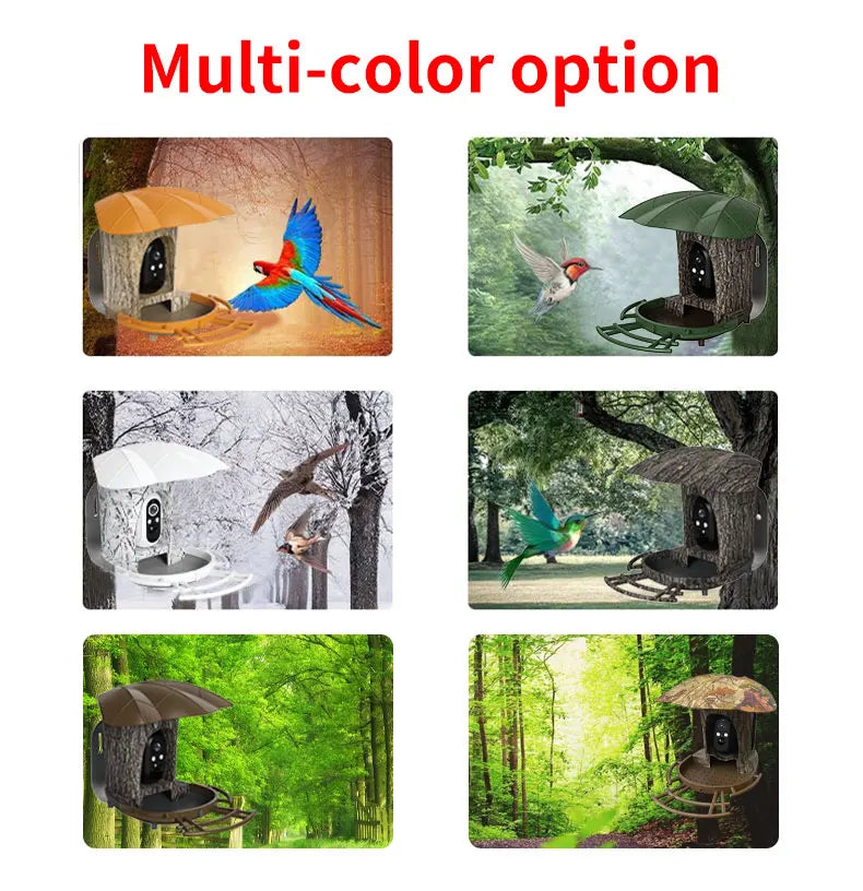 3MP 1296P I-Cam+ APP  Bird Feeding  Solar Battery  Power  IP Camera AI Outdoor Watch Bird Feeder Long Time Standby CCTV Monitor