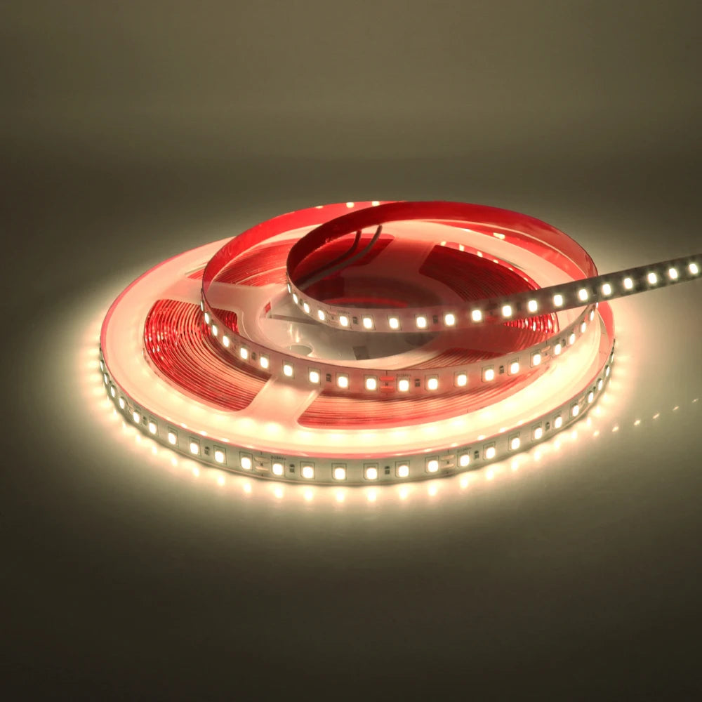 5M 10M LED Light Strips 12V 24V SMD 2835 120 240LEDs/m Home Lamp Strip Flexible LED Ribbon Tape Soft Lamp Bar 3000K 4000K 6000K