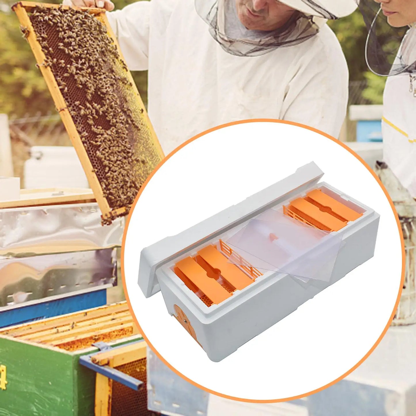 Foam Bee Rearing Cage Bee Mating Hives Beekeeping Tools Beekeeping Box for Beekeeper Supplies Outdoor Rearing Boxes Hives