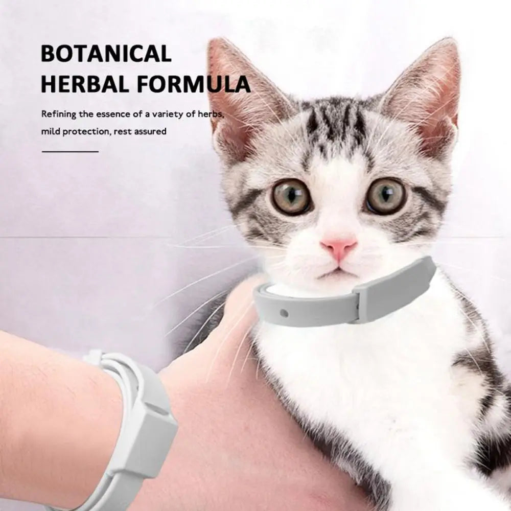 Pet Products Anti Flea for Cat Dog Anti Ticks Anti Mosquitoes Flea Collar Puppy Collar Dog Flea Repeller Dog Cat Collar