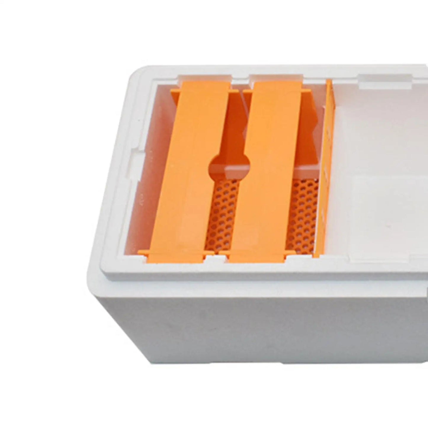 Foam Bee Rearing Cage Bee Mating Hives Beekeeping Tools Beekeeping Box for Beekeeper Supplies Outdoor Rearing Boxes Hives